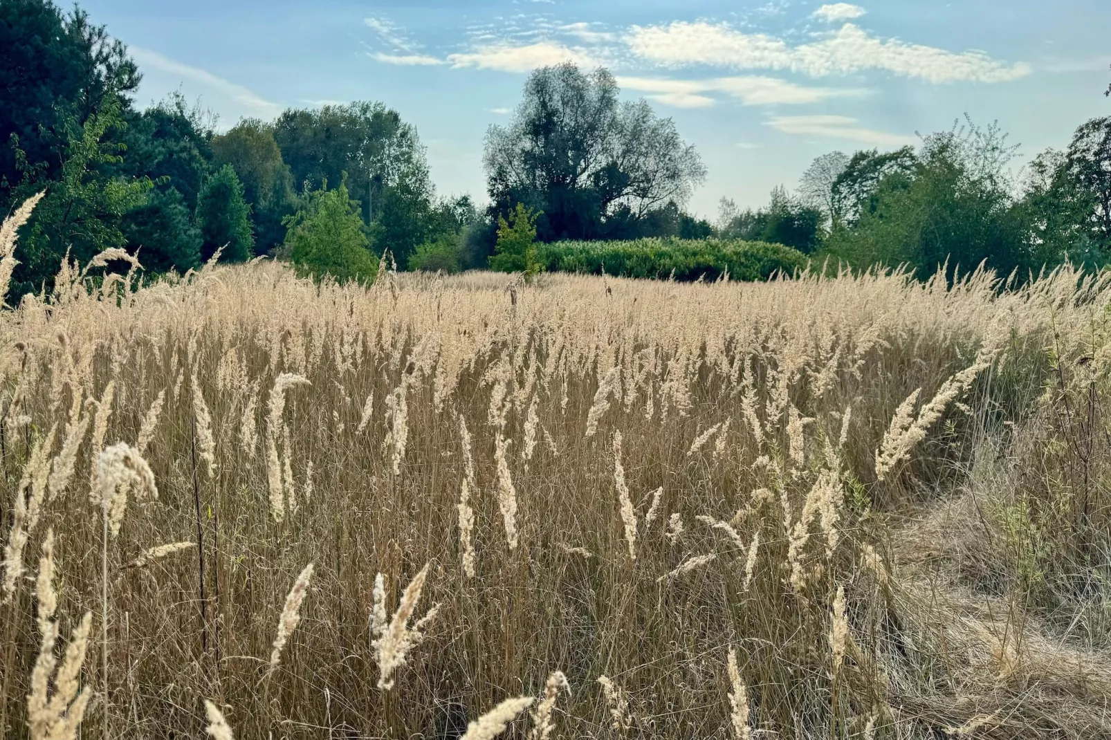 FewoHaus 160 qm-Gebiete Sommer 1 km