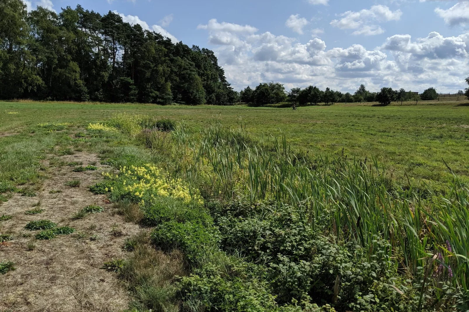 Doppelhaushälfte Typ V 80 qm-Zones été à 1 km