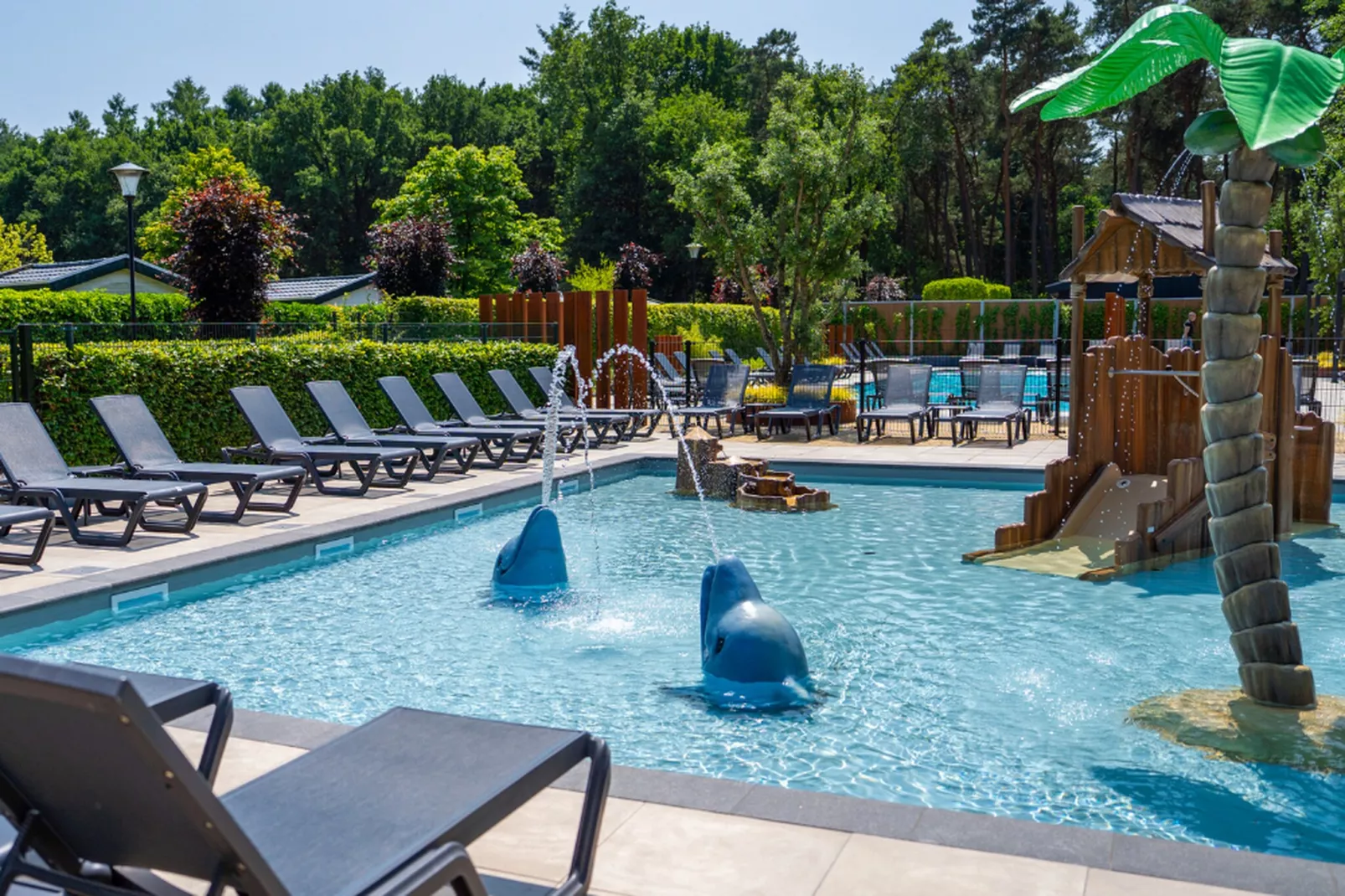 Vakantiepark Molenvelden 1-Piscine