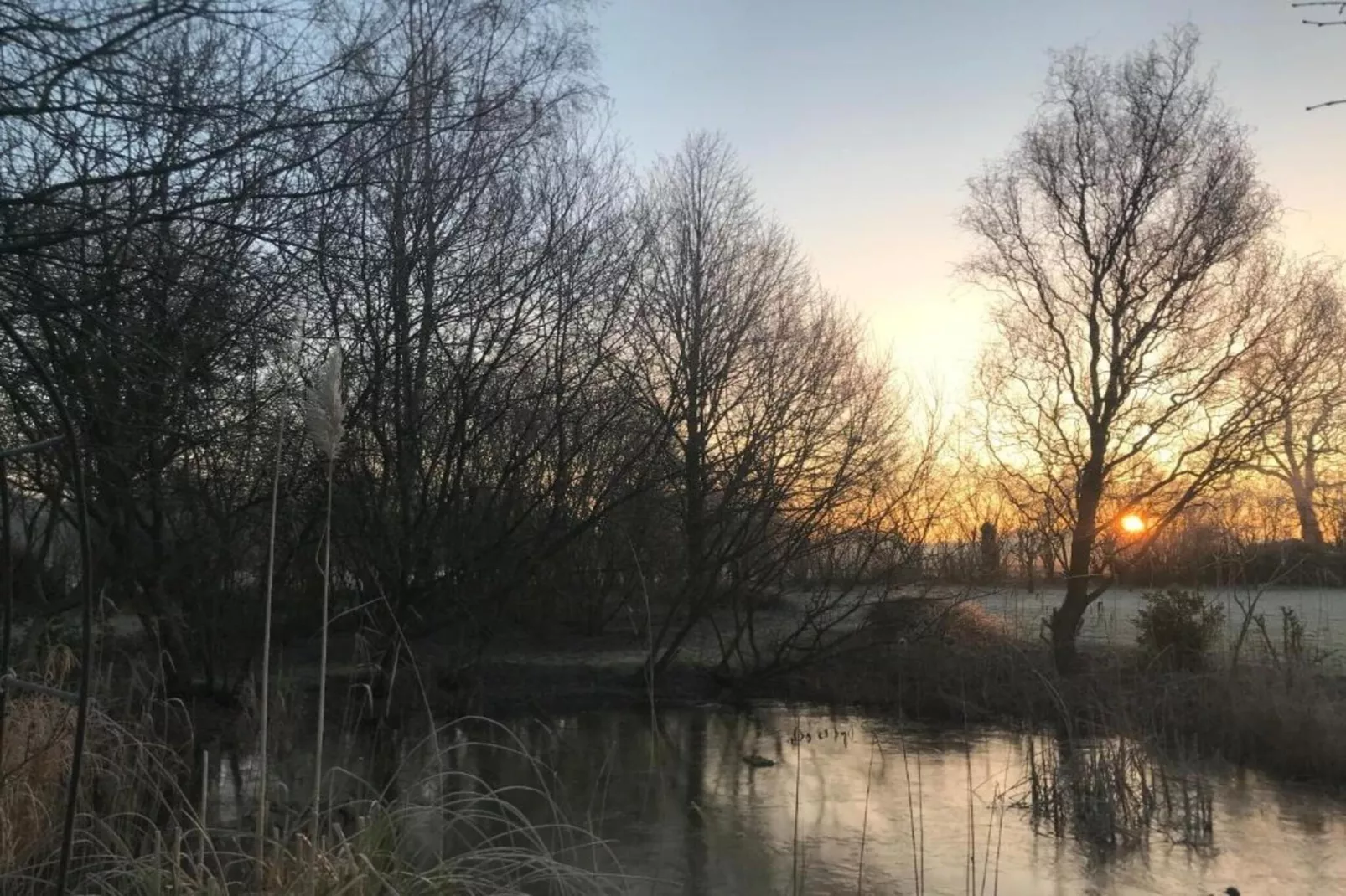 Bospark Markelo 4-Areas within 20km in summer