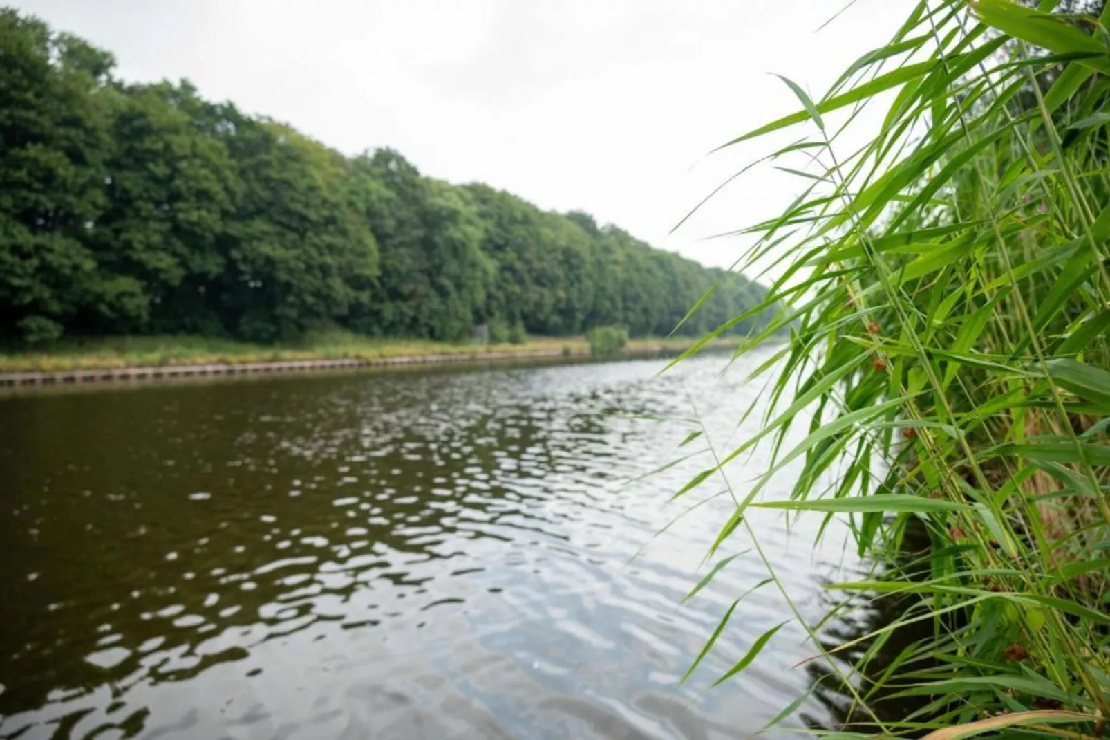 Vakantiepark De Lochemse Berg 1-Areas within 20km in summer