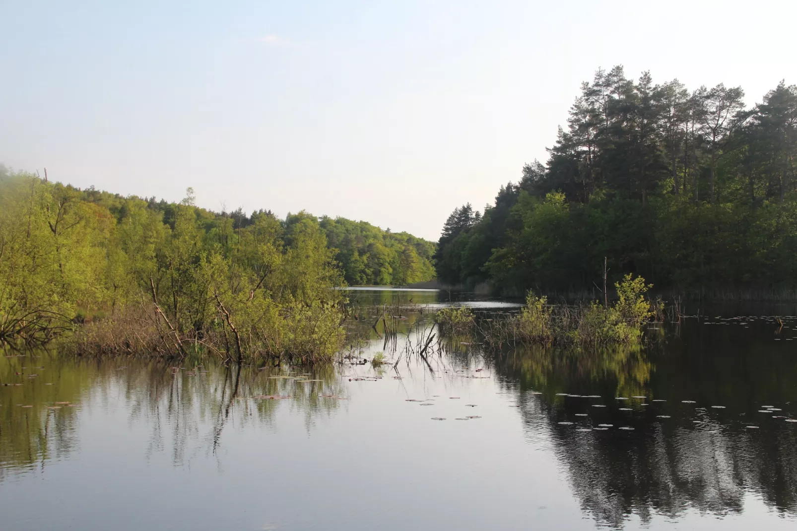 Holiday complex Kolczewo-Areas within 1km in summer