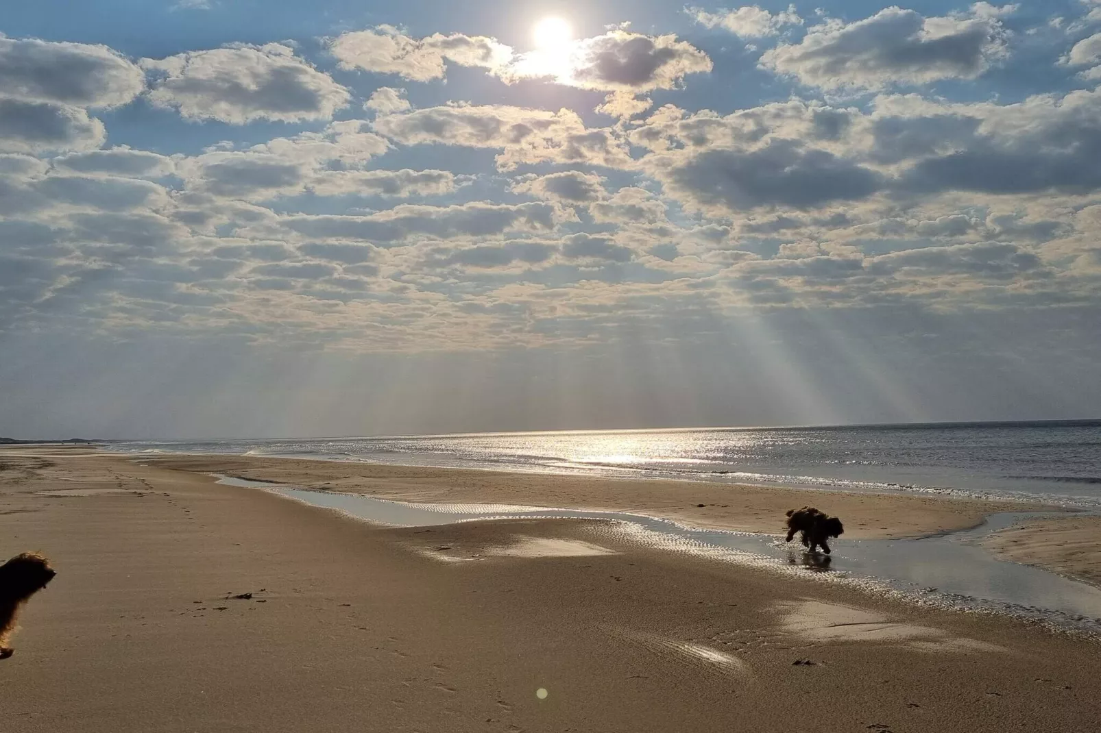 8 Personen Ferienhaus in Saltum-By Traum