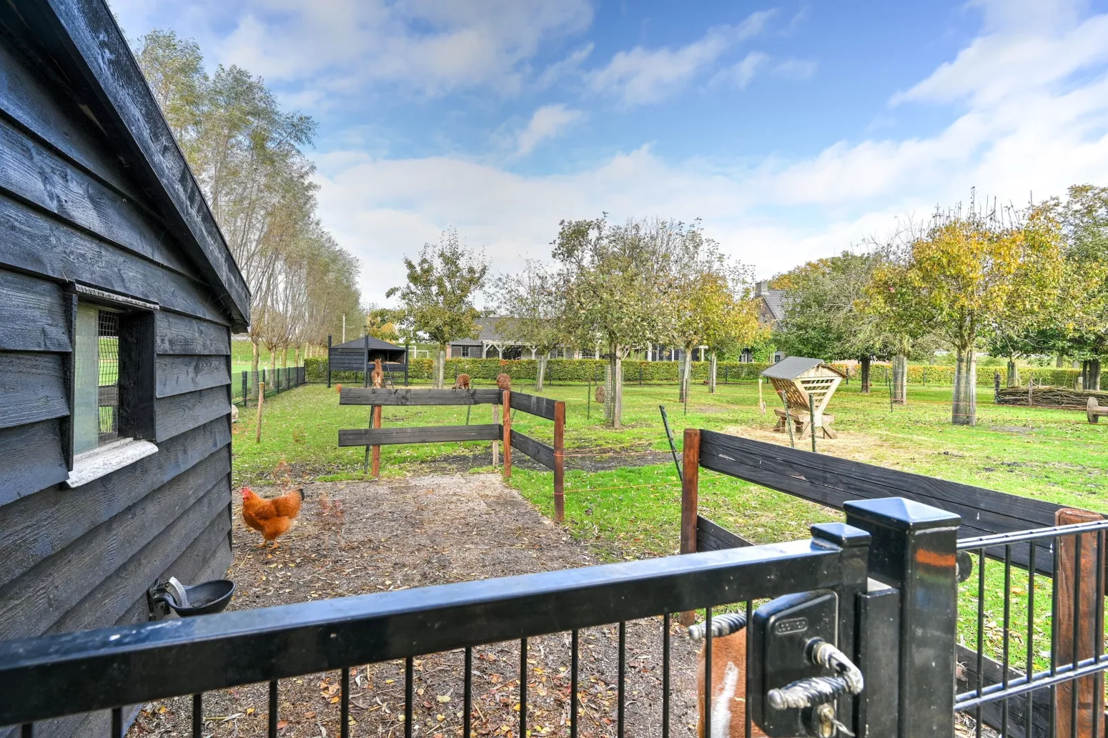Landelijk Utrecht-Gardens in summer