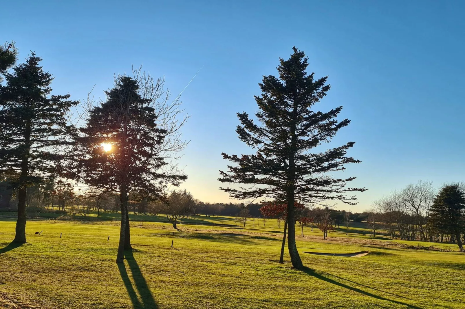 6 person holiday home in Nibe-By Traum-Untagged