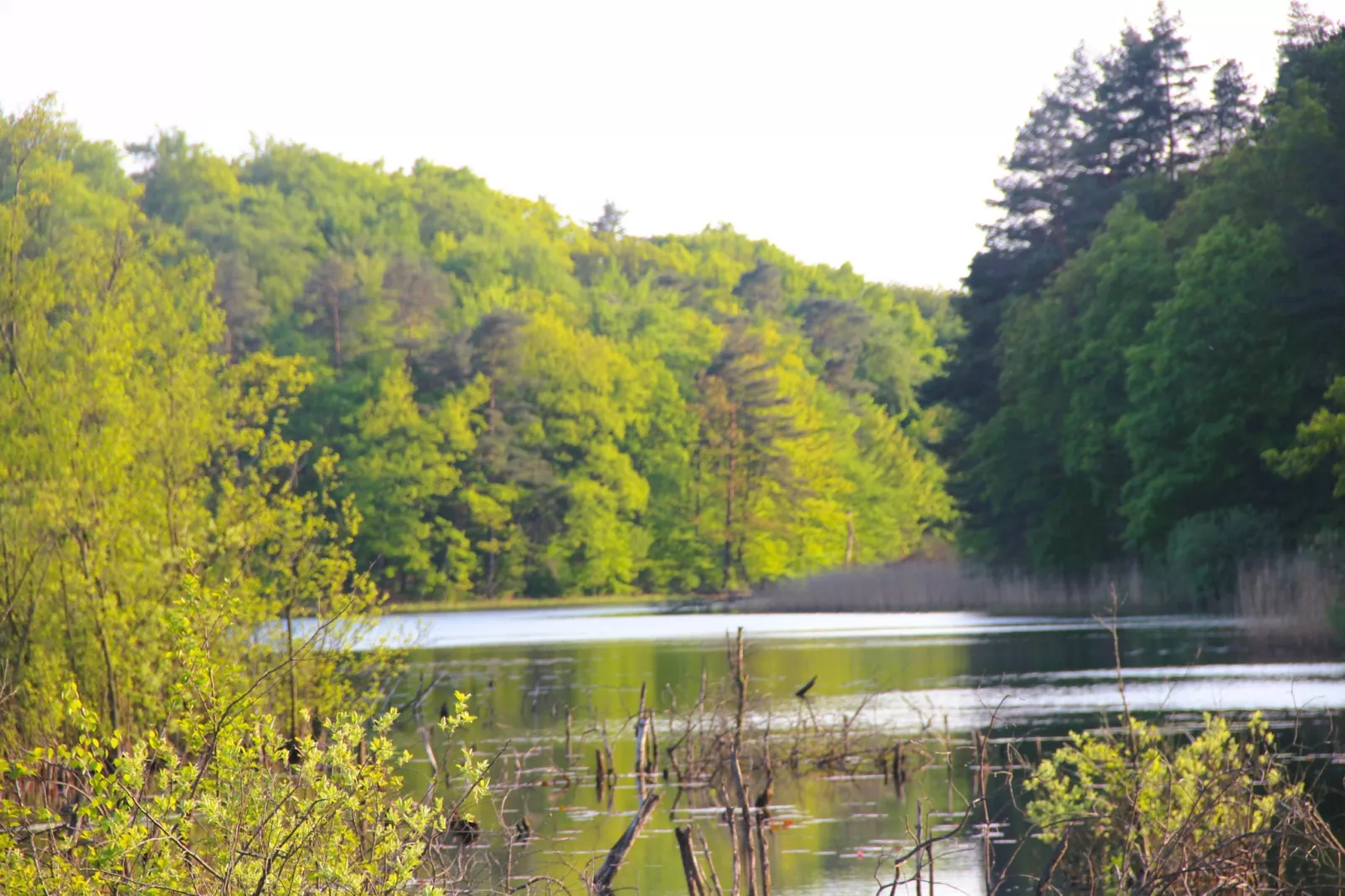 Holiday accomodations Kolczewo Nr 5-Areas within 1km in summer