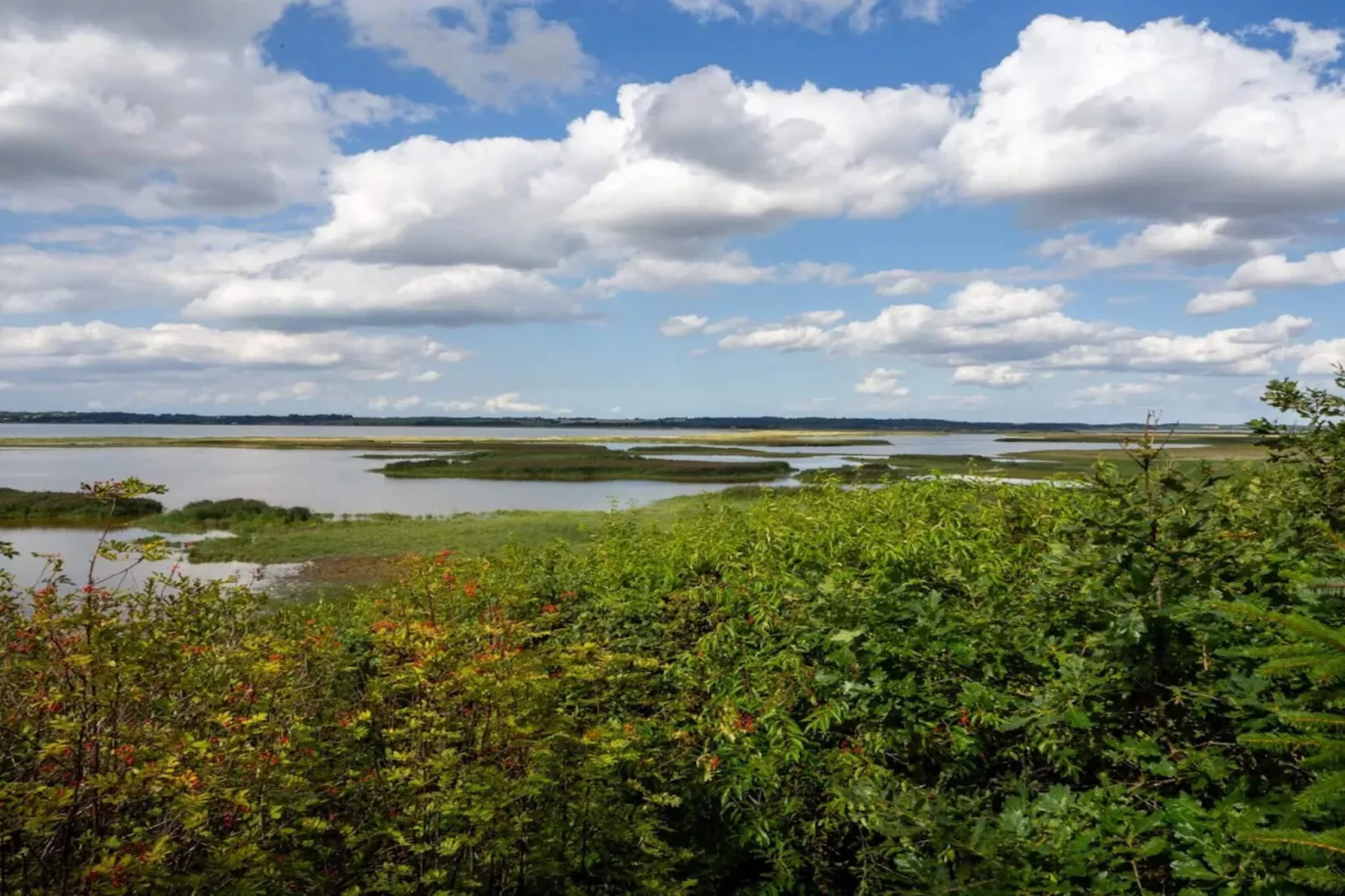 12 Personen Ferienhaus in Vinderup-By Traum-Wasserblick