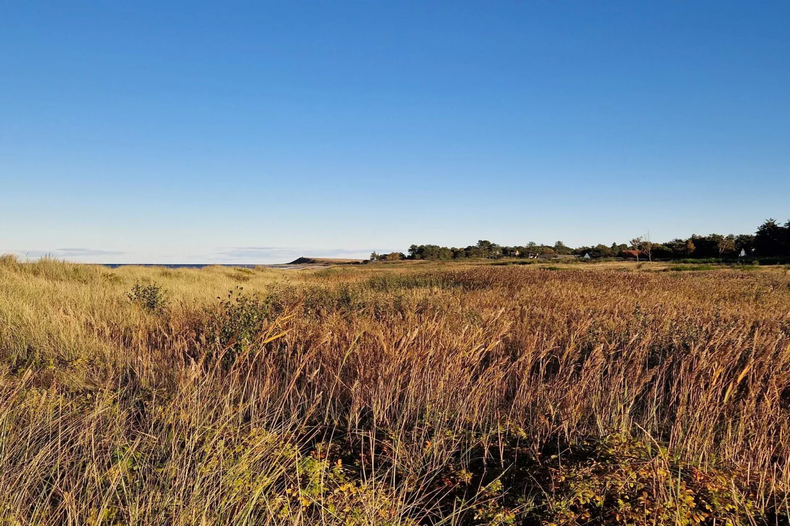 Maison de vacances pour 6 a Grenaa-By Traum-Non tagué