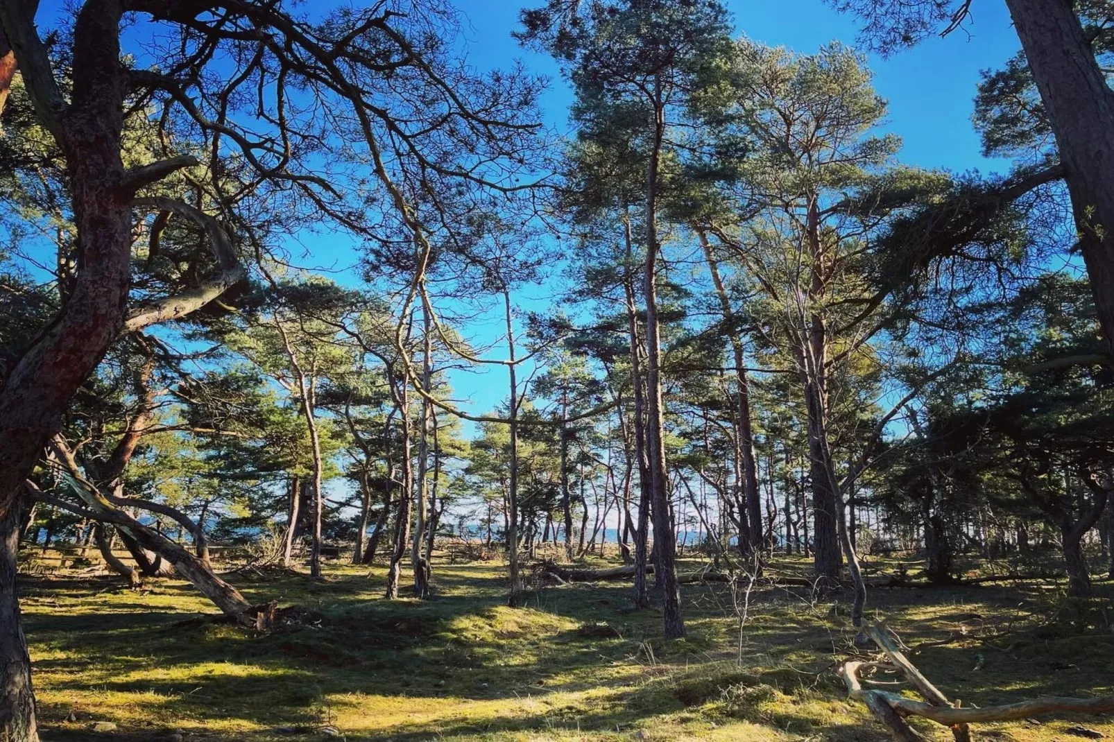 5 person holiday home in HALTORP-By Traum-Untagged