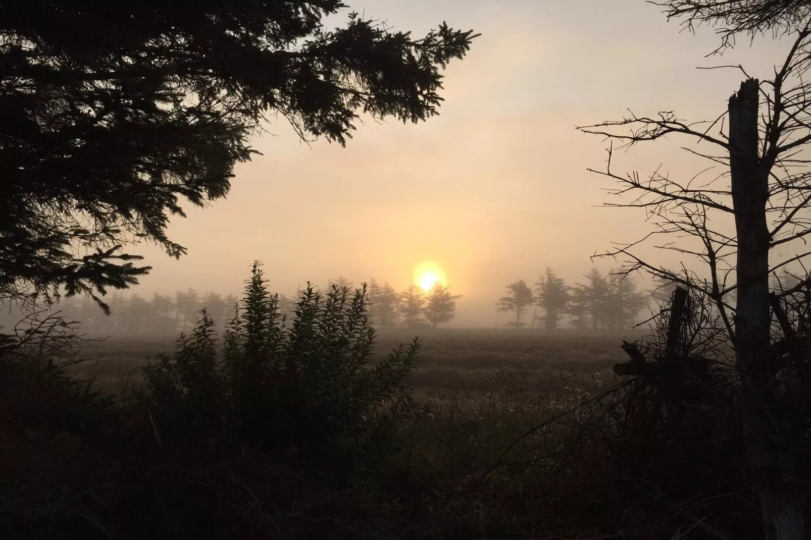 6 person holiday home in Ulfborg-Untagged