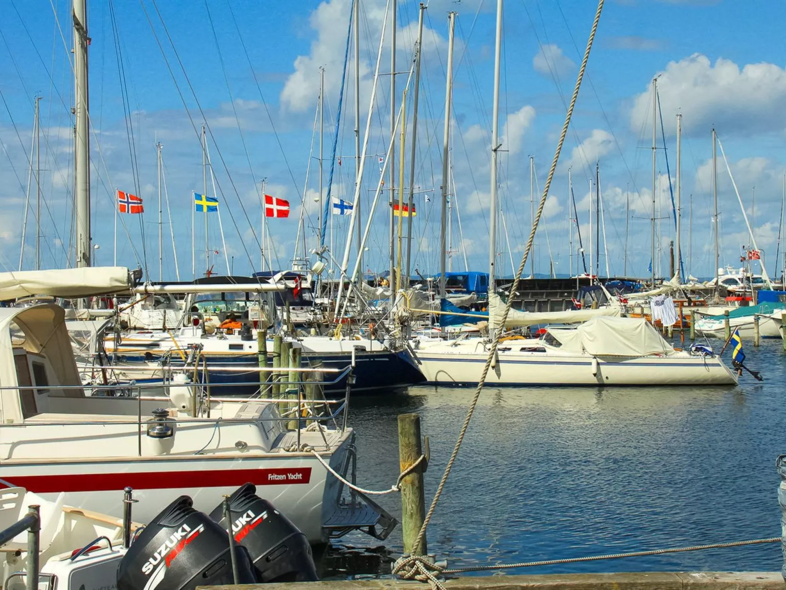 "Cedomir" - 625m from the sea