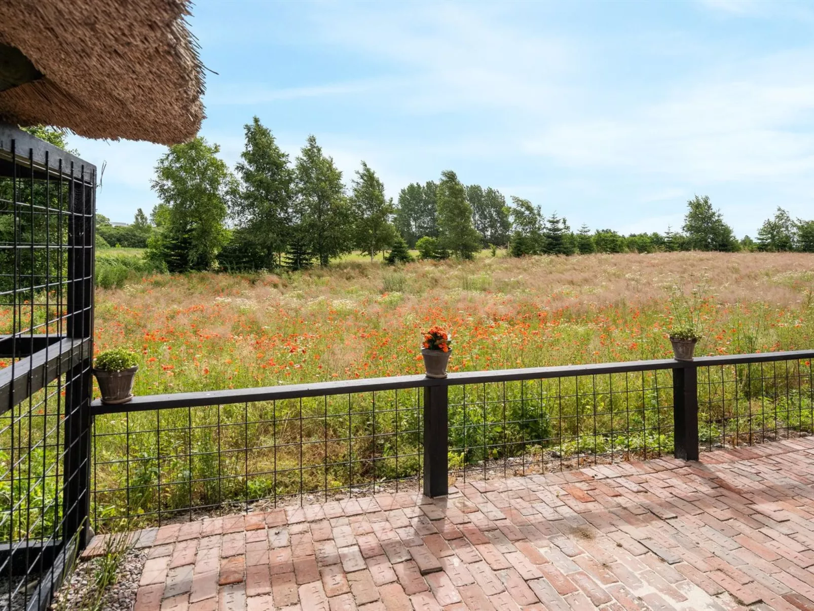 "Maileen" - 2.1km to the fjord