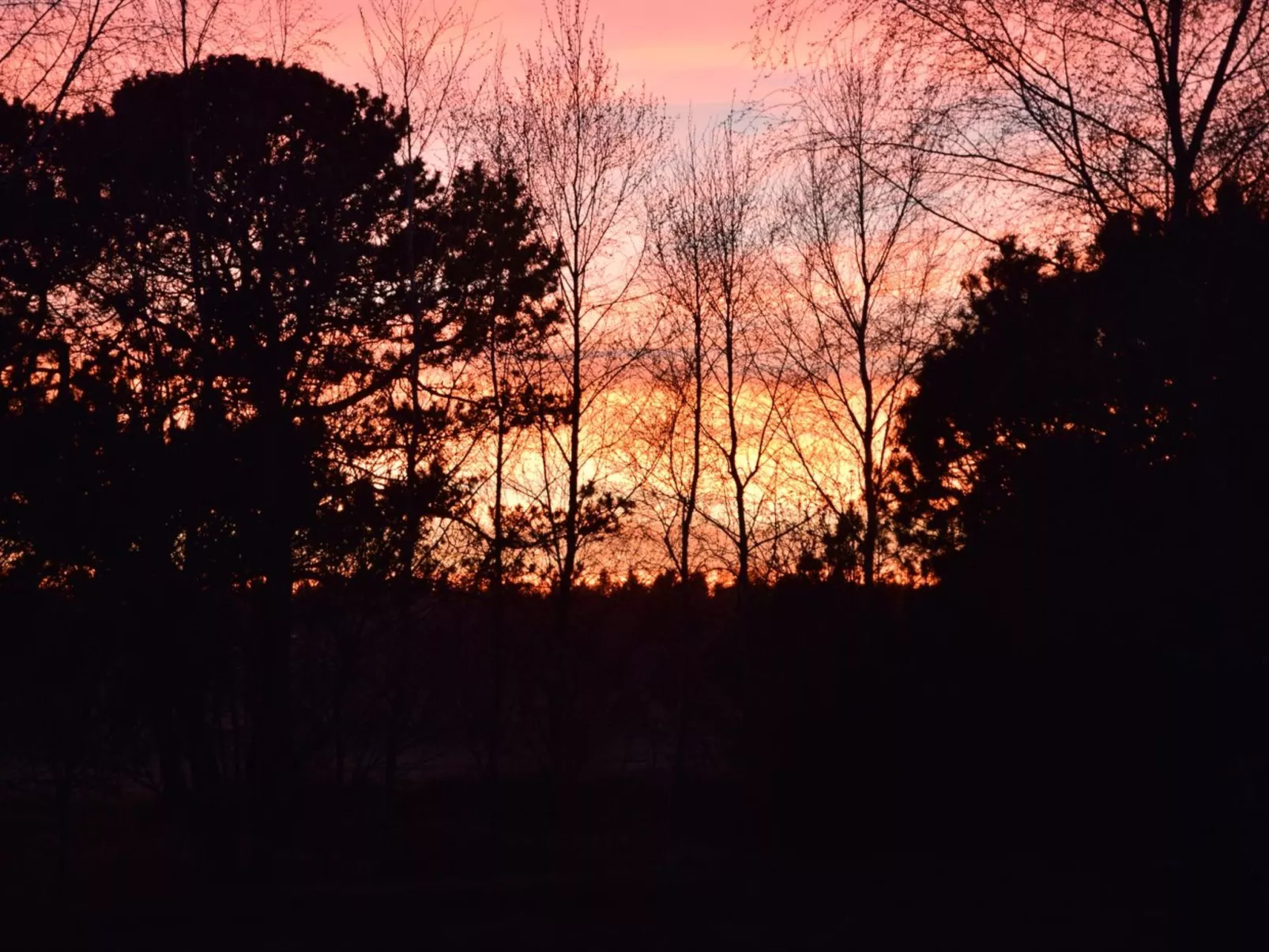 "Østmar" - 1.2km from the sea