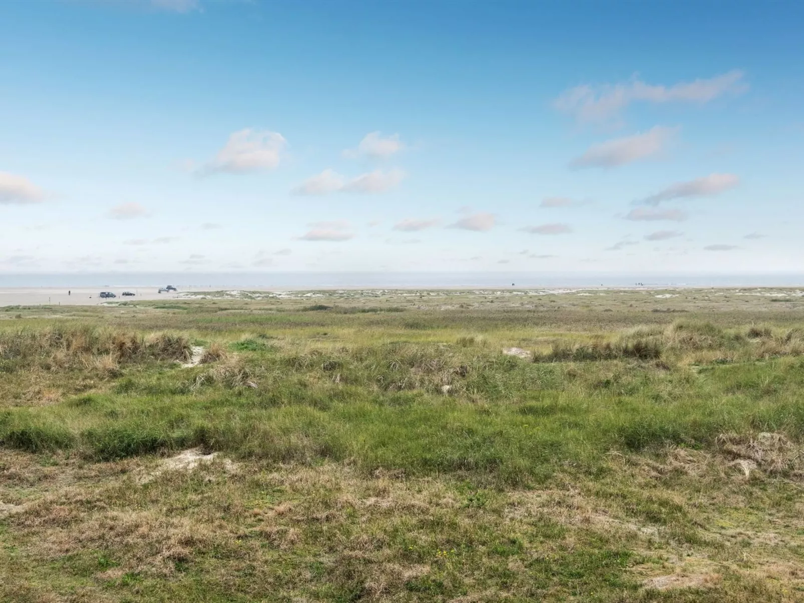 "Anedorte" - 50m from the sea