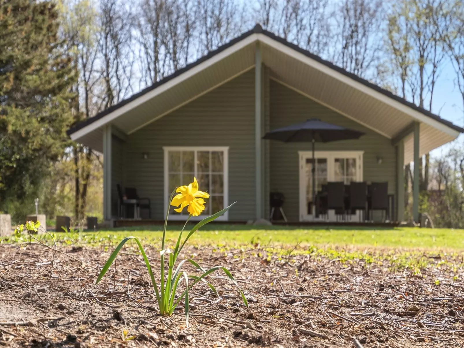 "Eryka" - 28km from the sea