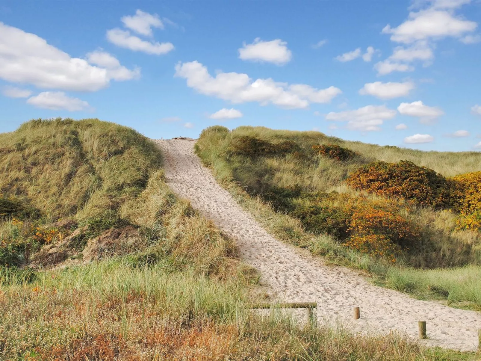 "Katha" -  from the sea