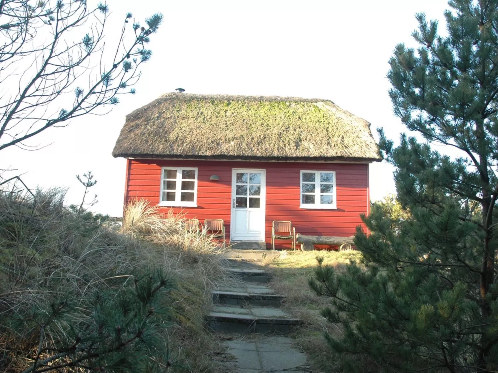 "Jon" - 400m from the sea