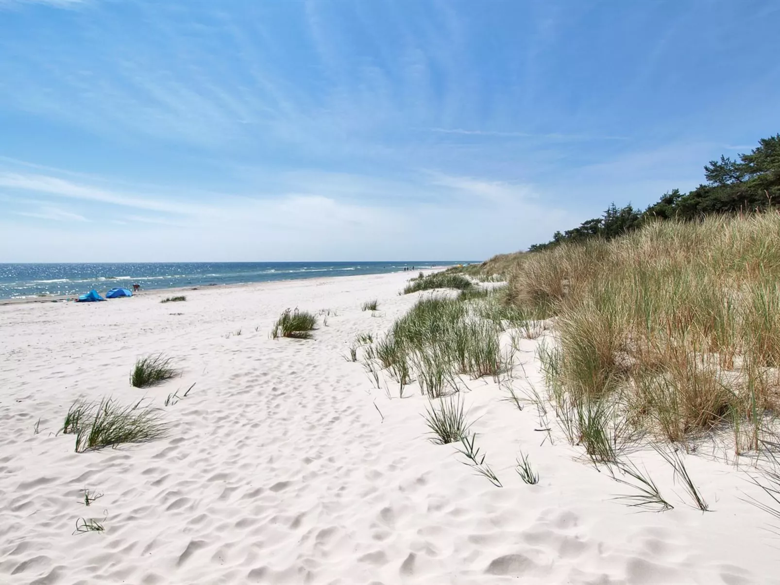 "Eliz" - 800m from the sea