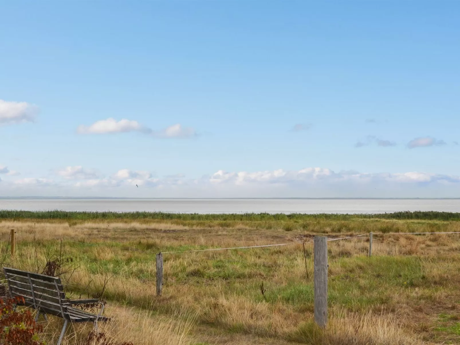 "Baltser" - 5km from the sea-Dehors