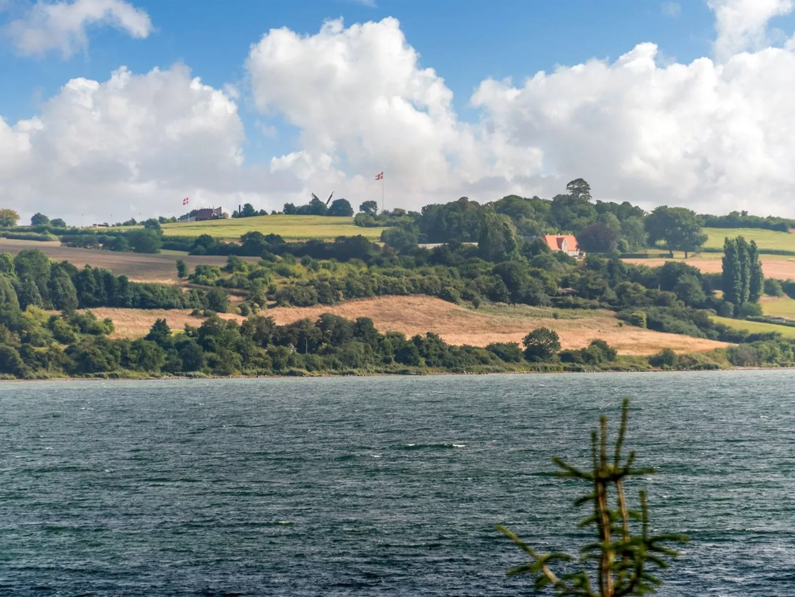 "Beowulf" - 200m from the sea