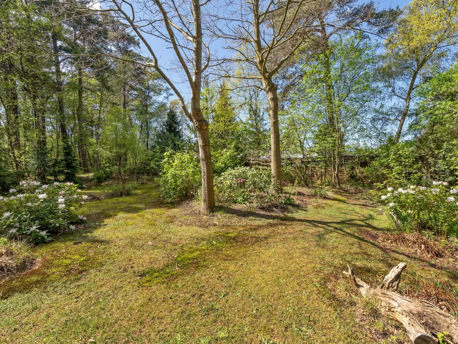 "Eweline" - 75m from the sea