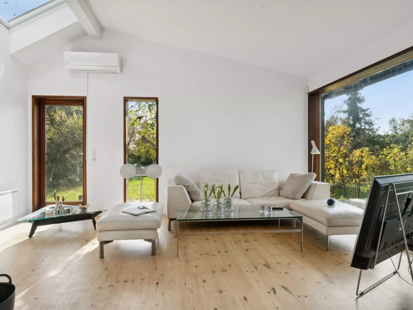 "Erikka" - 300m to the fjord