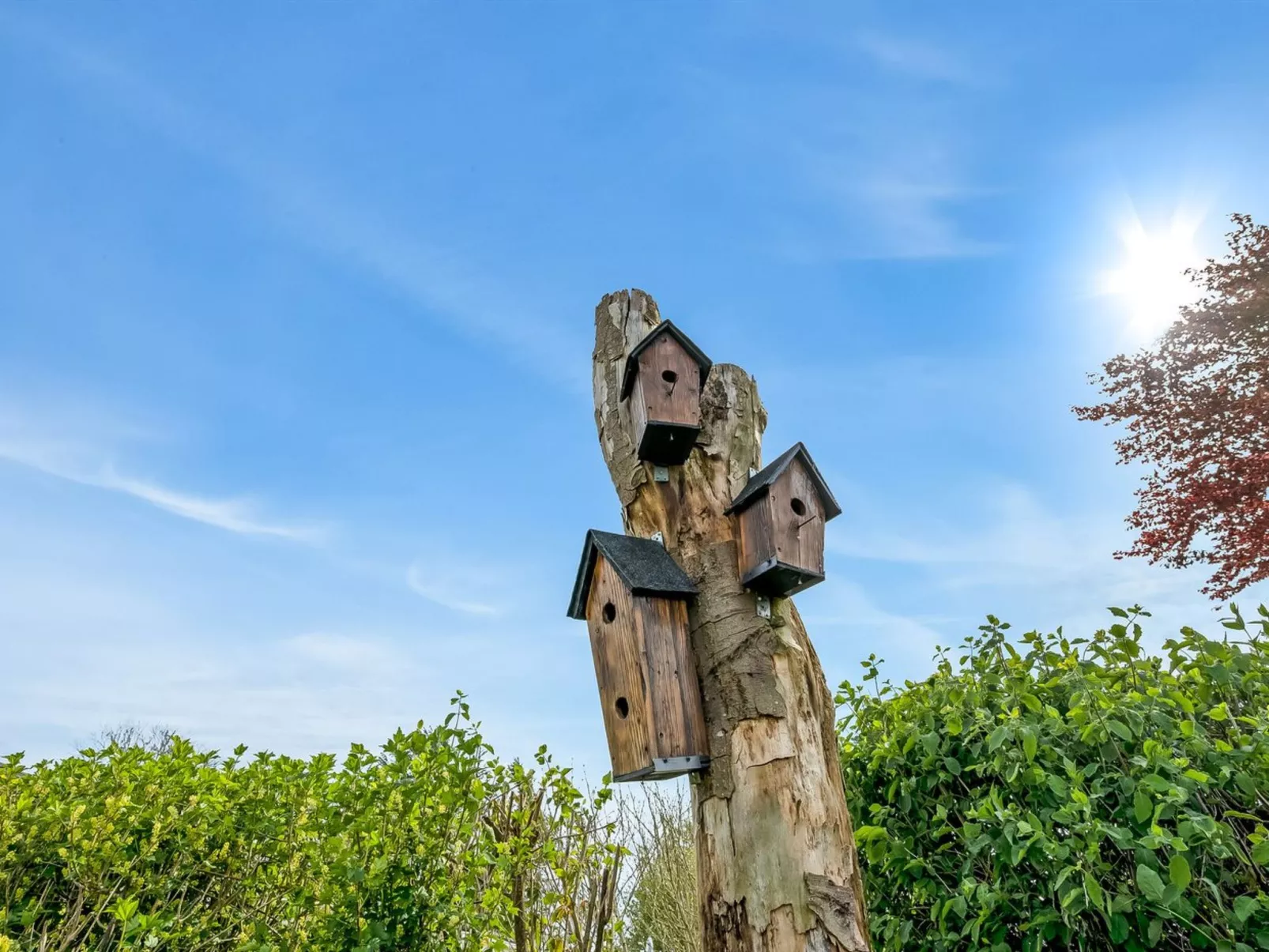 "Teija" - 300m from the sea