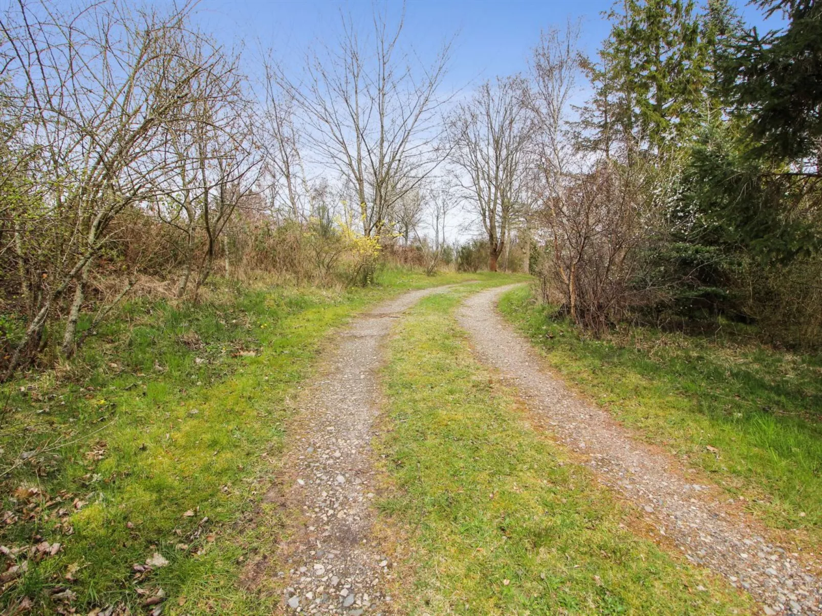 "Rakita" - 550m from the sea