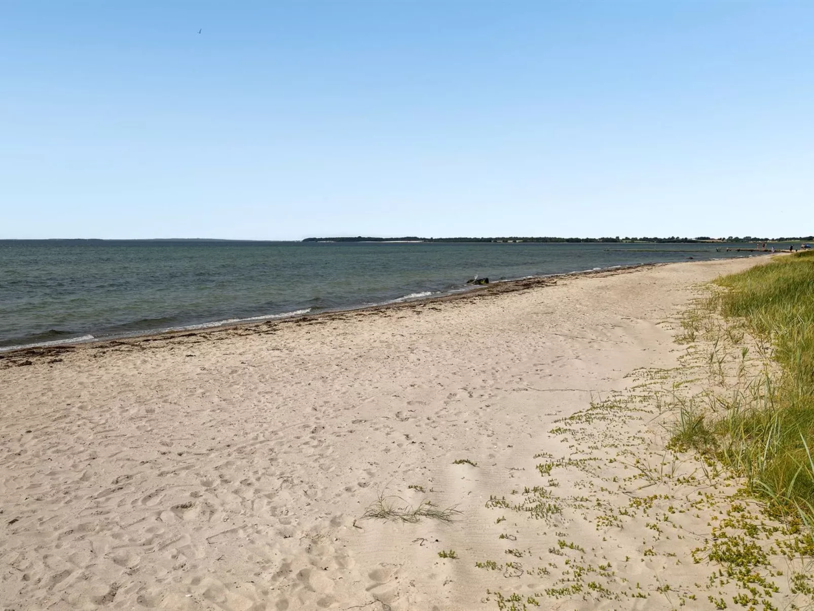 "Pellervo" - 20m from the sea