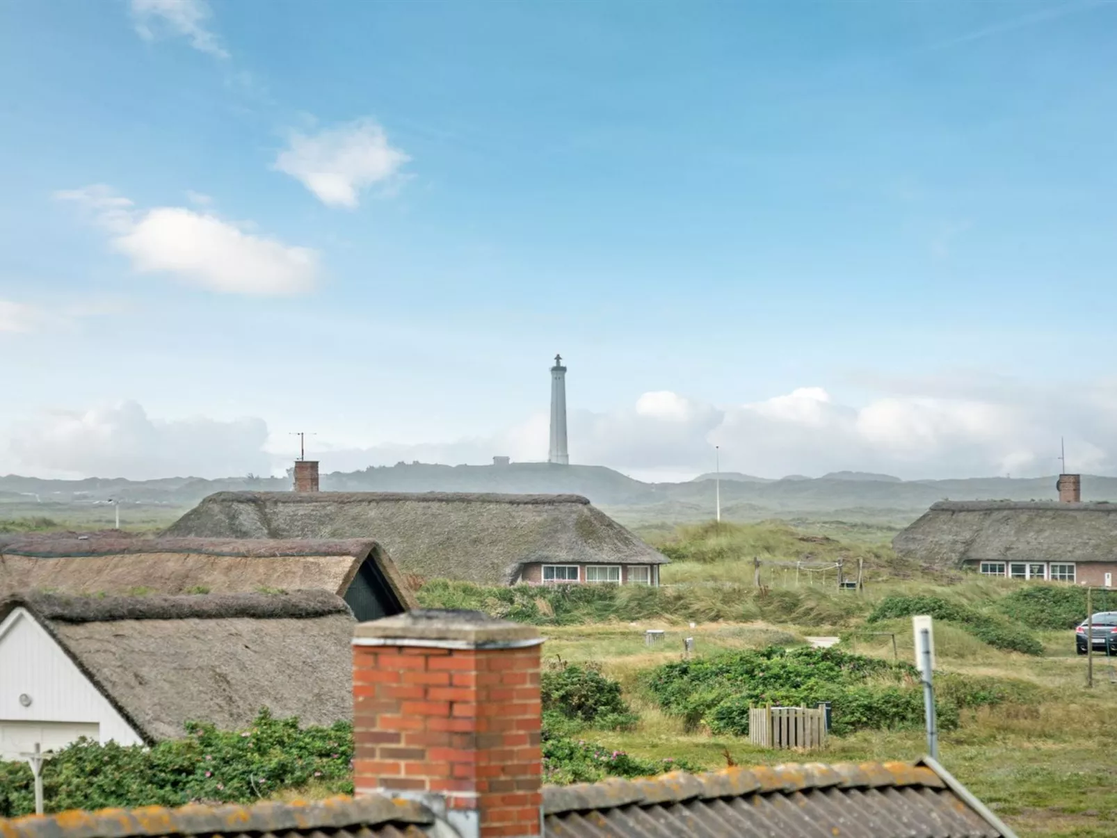 "Felina" -  from the sea