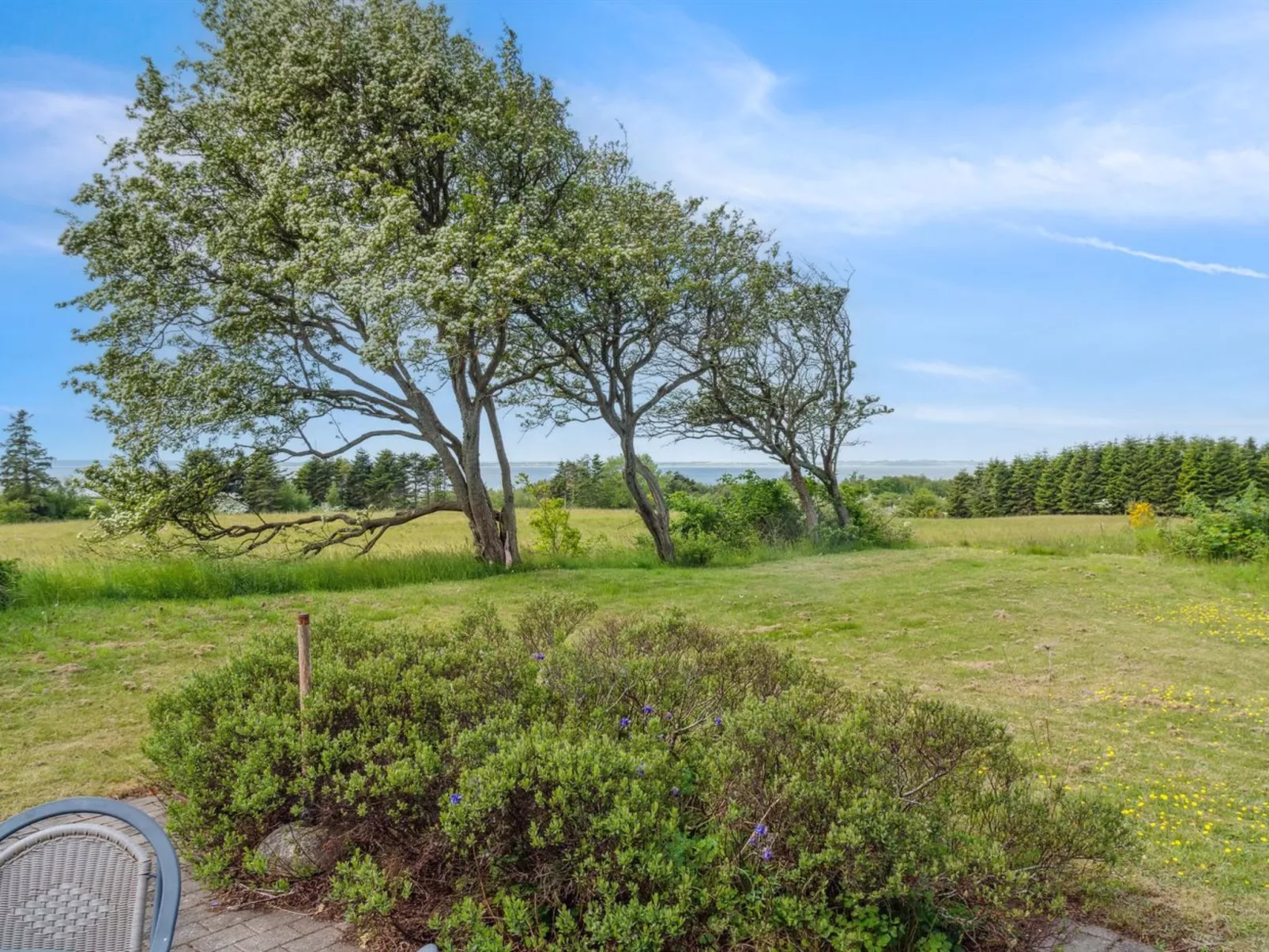 "Althea" - 750m to the fjord