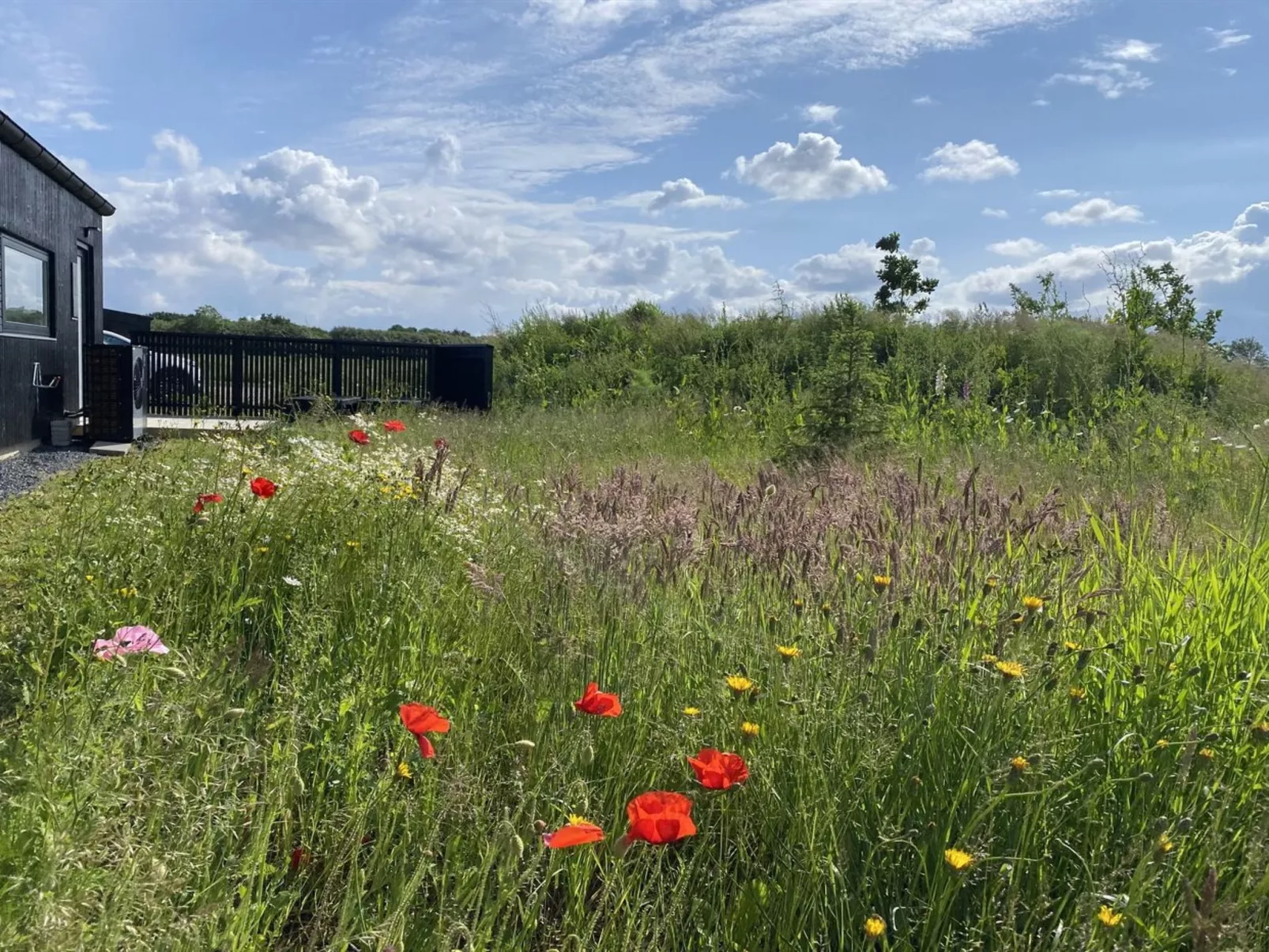 "Anelle" - 500m from the sea