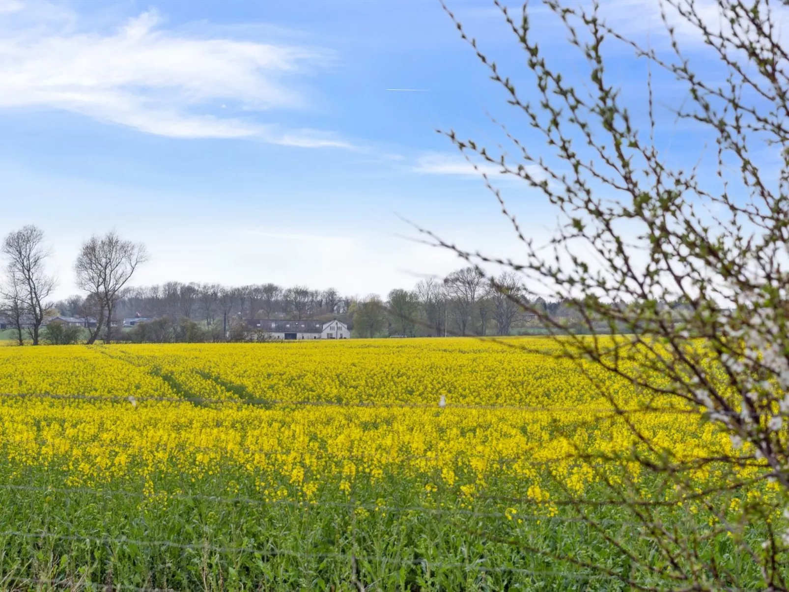 "Malfred" - 500m from the sea