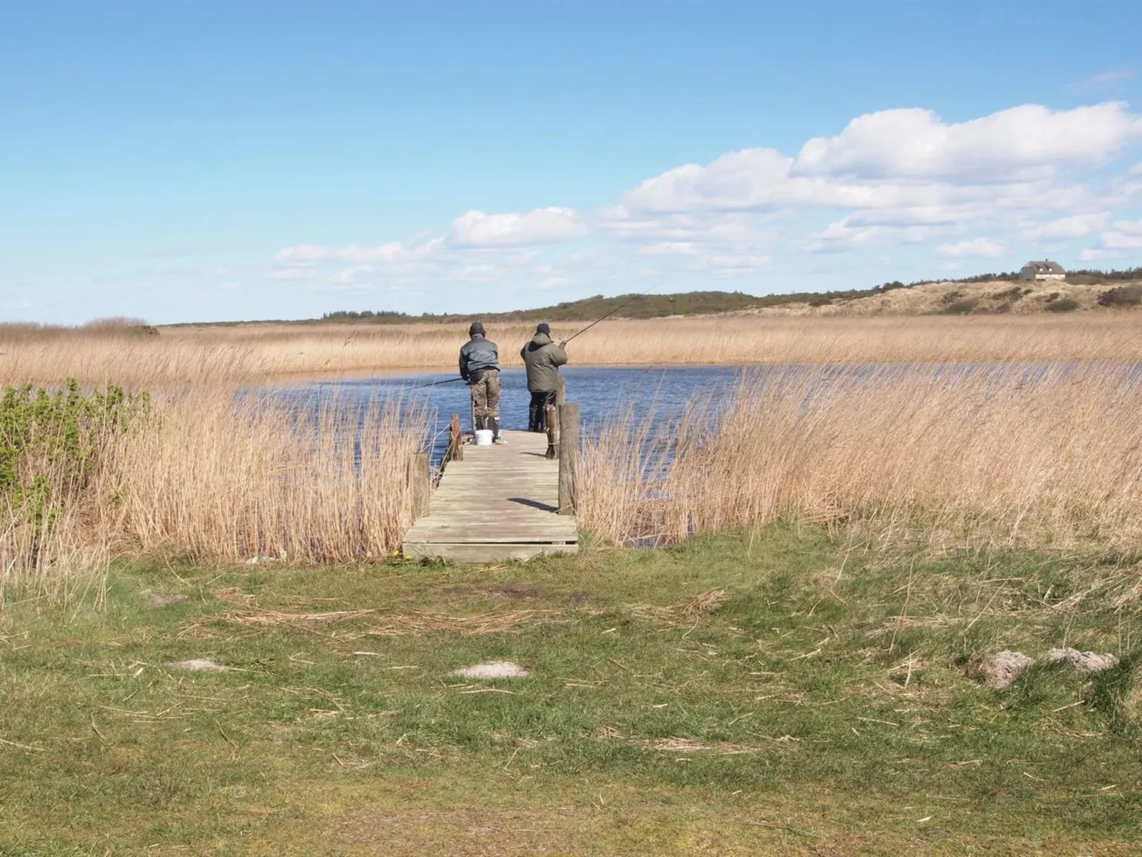 "Holte" - 700m to the fjord