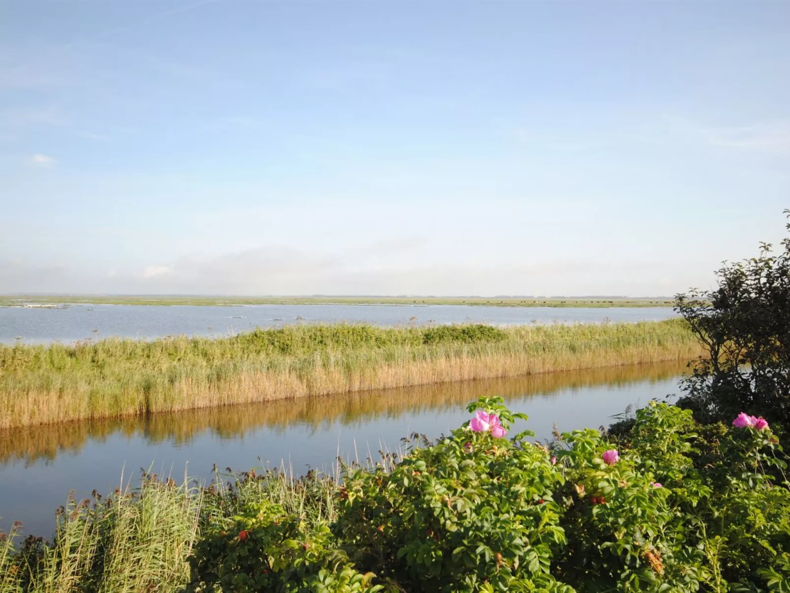 "Leocadia" - 150m to the fjord