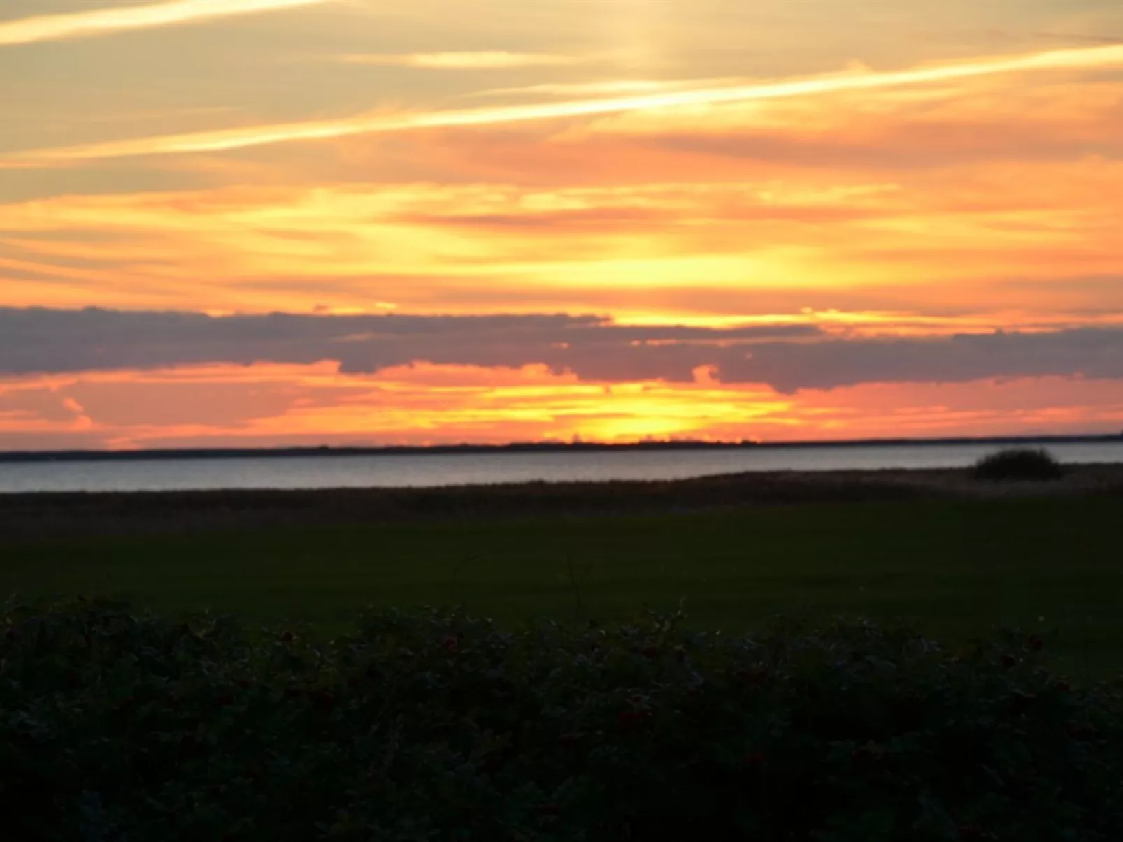 "Aleida" - 100m to the fjord