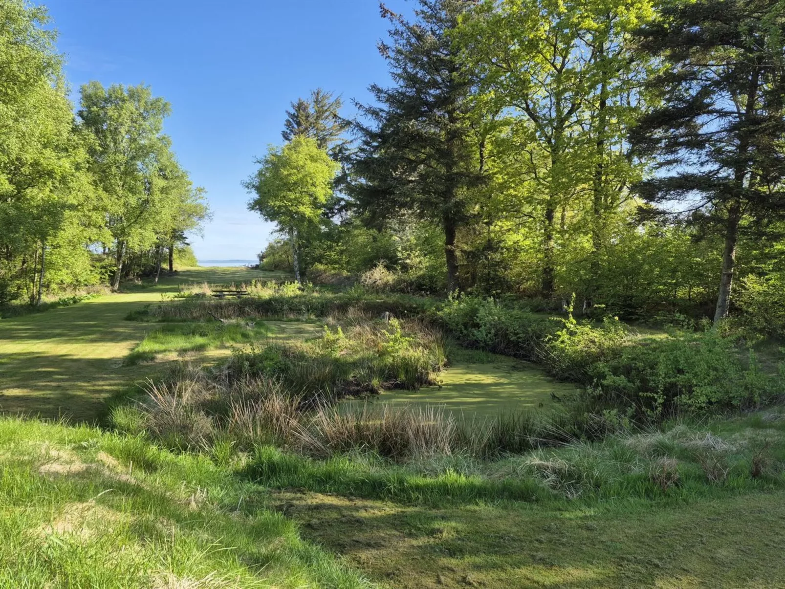 "Aswarth" - 50m to the fjord