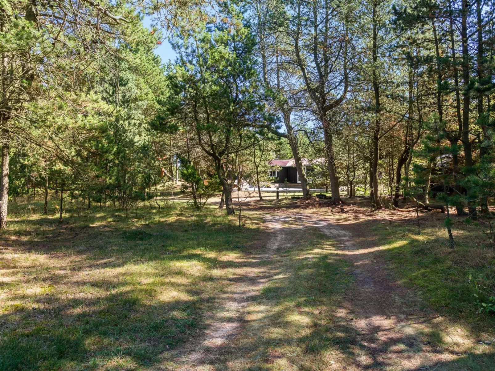 "Gorm" - 300m from the sea