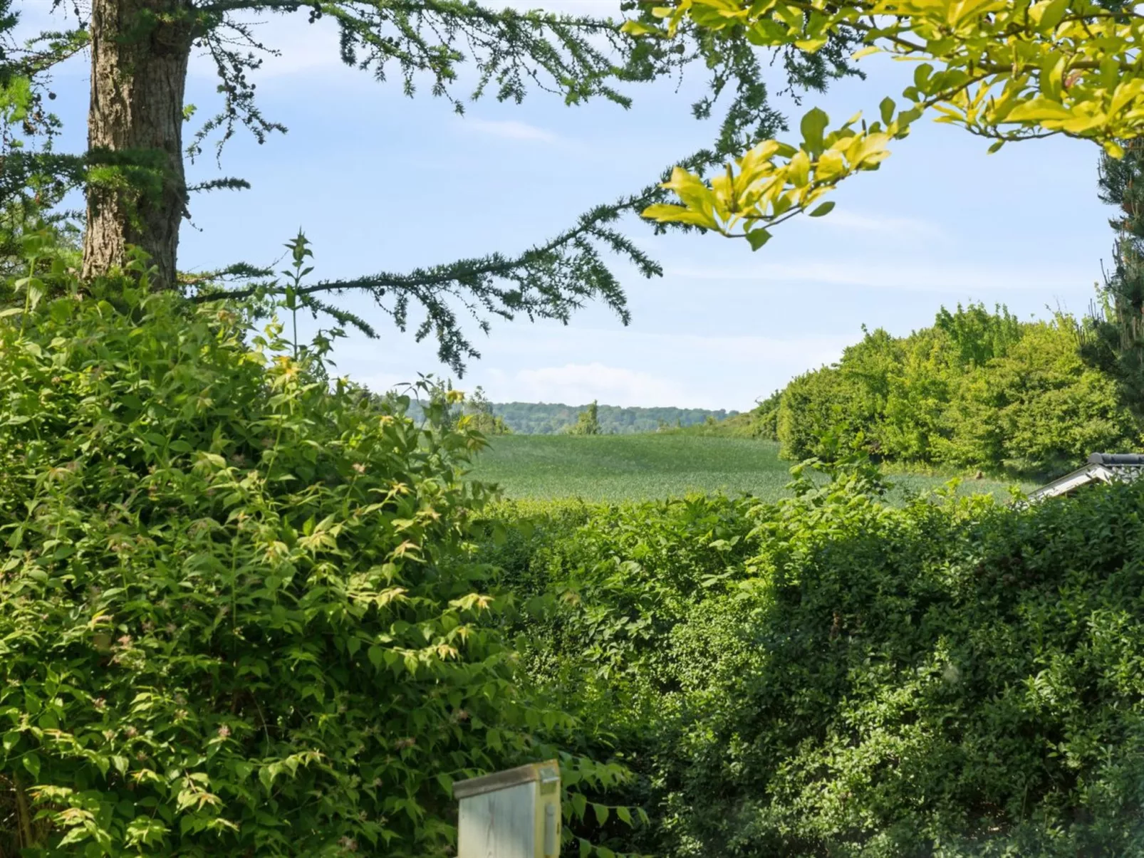 "Ømund" - 600m to the fjord