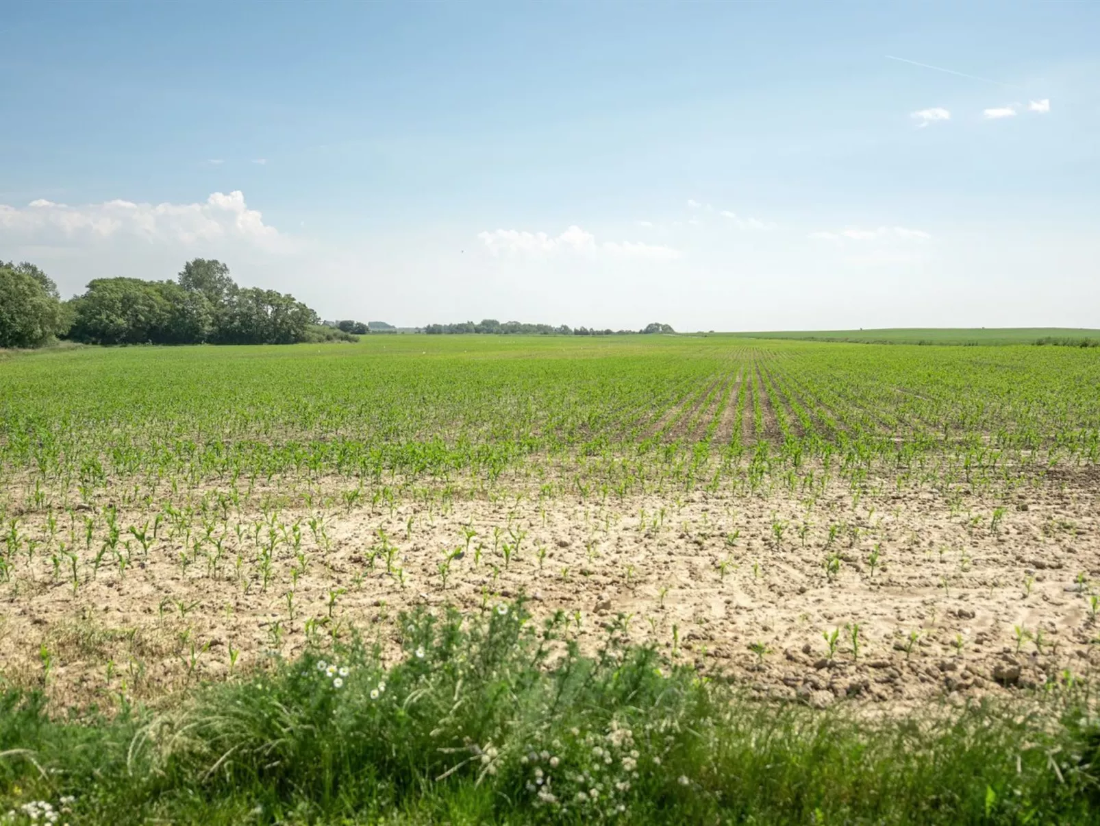 "Ilja" - 400m from the sea-Draußen