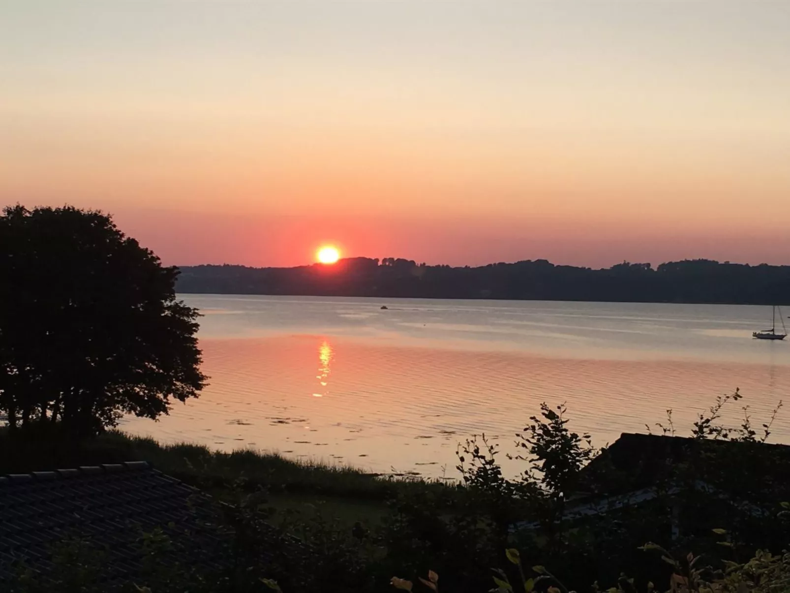 "Algot" - 100m to the fjord