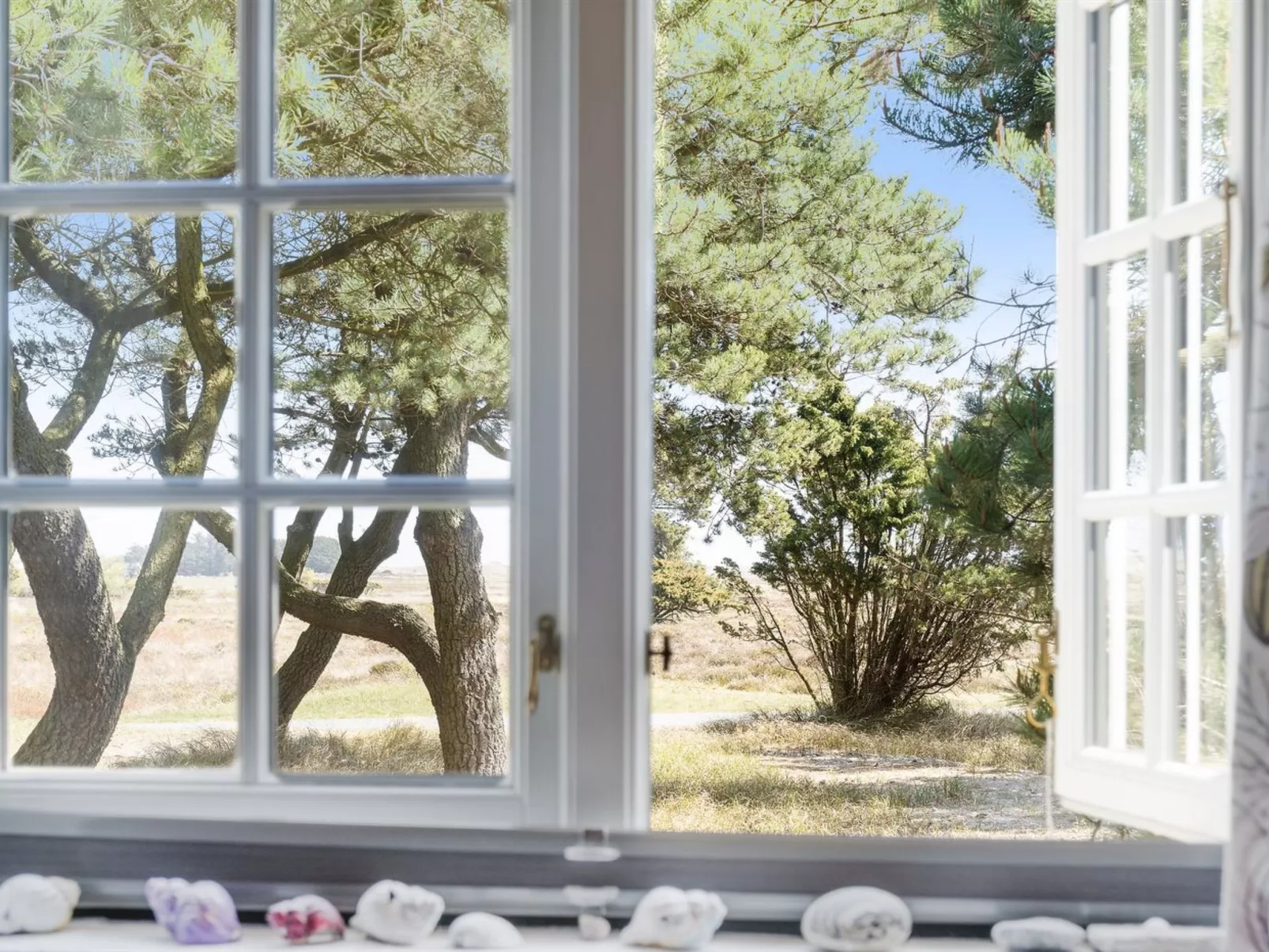 "Gravers" - 300m from the sea