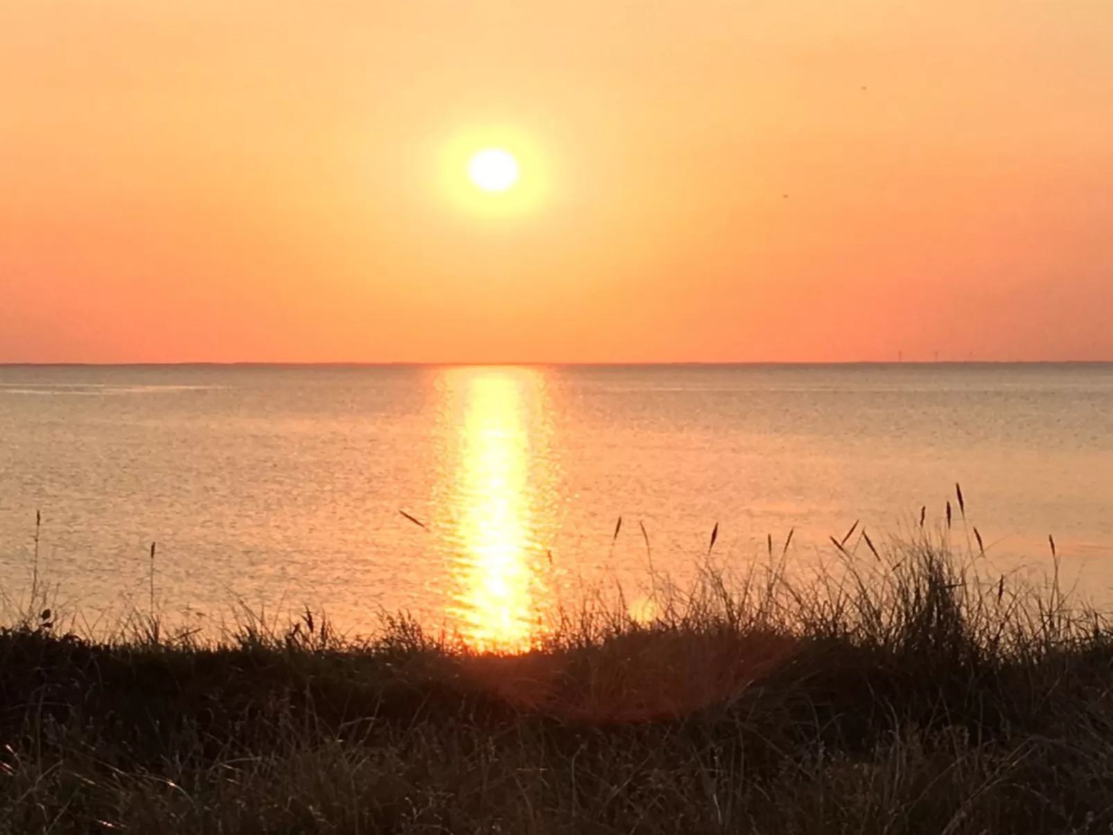 "Elevine" - 300m to the fjord