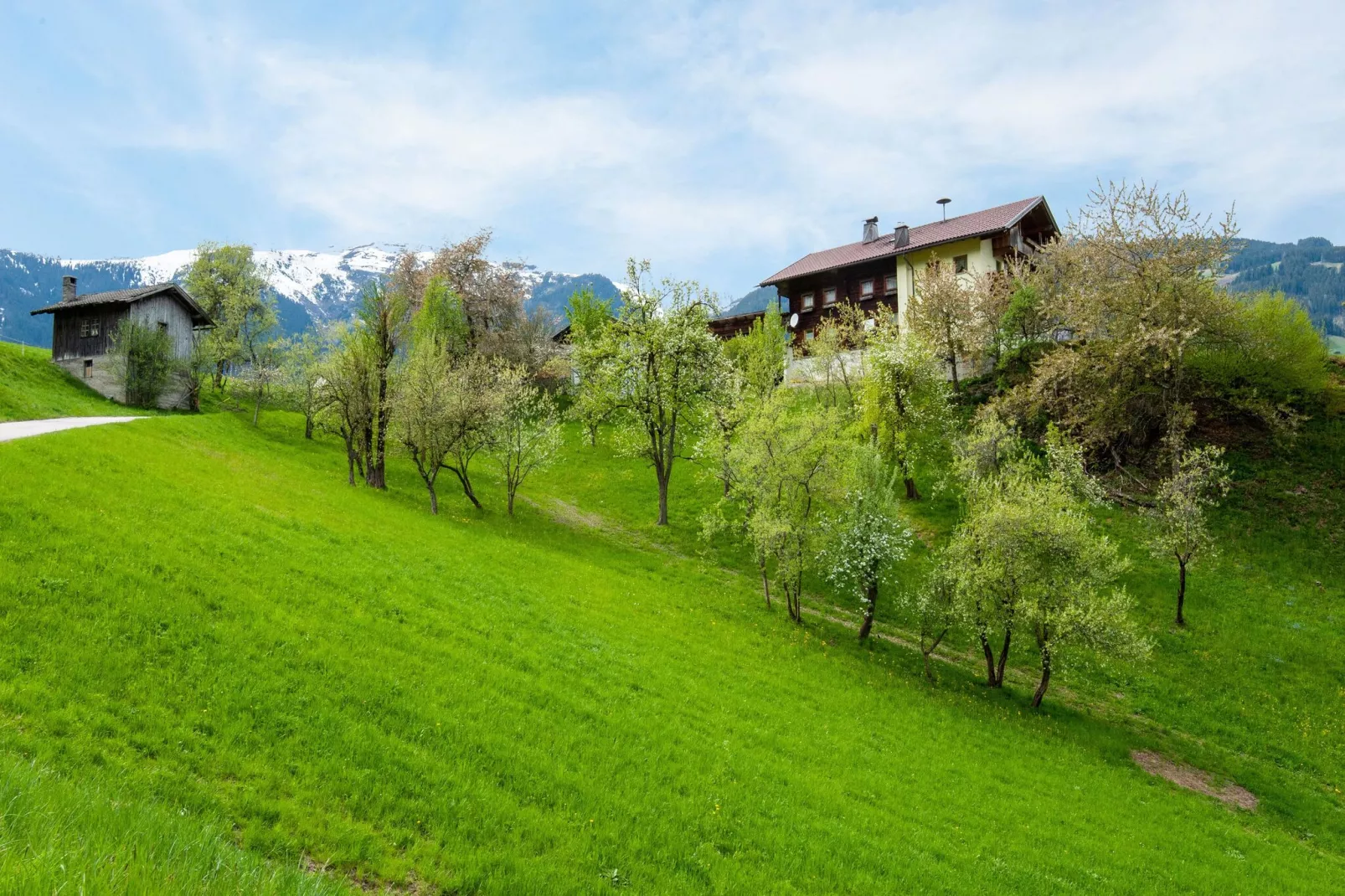 Klammerhof - Zillertalblick klein-Areas summer 1km