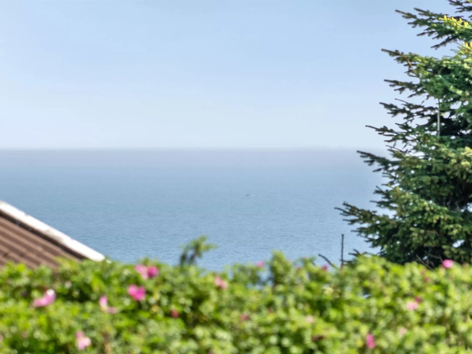 "Jarmericus" - 300m from the sea-Draußen