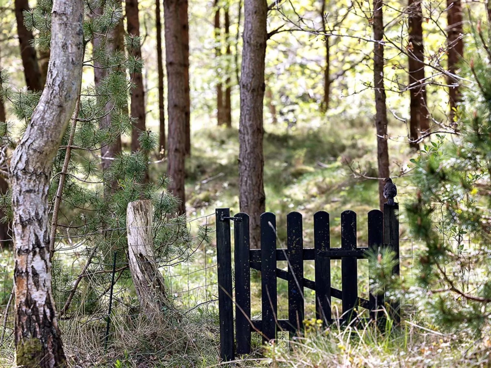 "Amabel" - 200m from the sea-Dehors