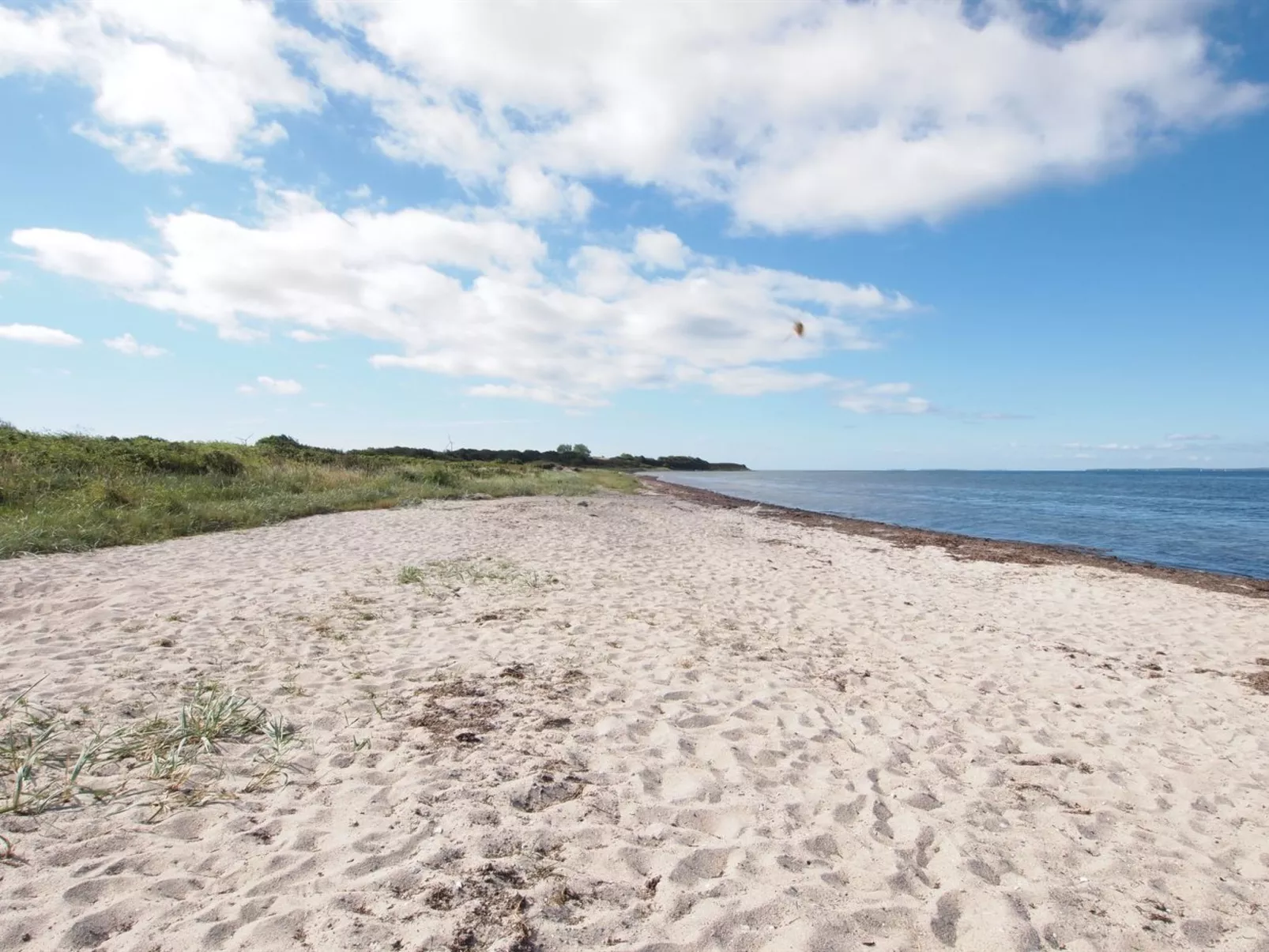 "Elisej" - 100m from the sea