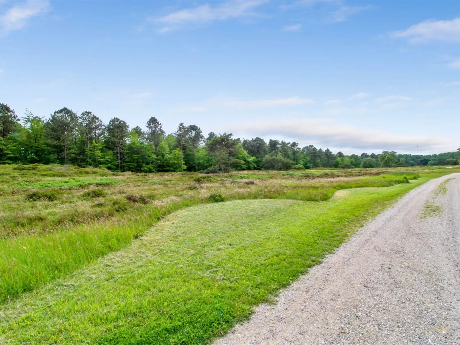 "Flora" - 150m from the sea