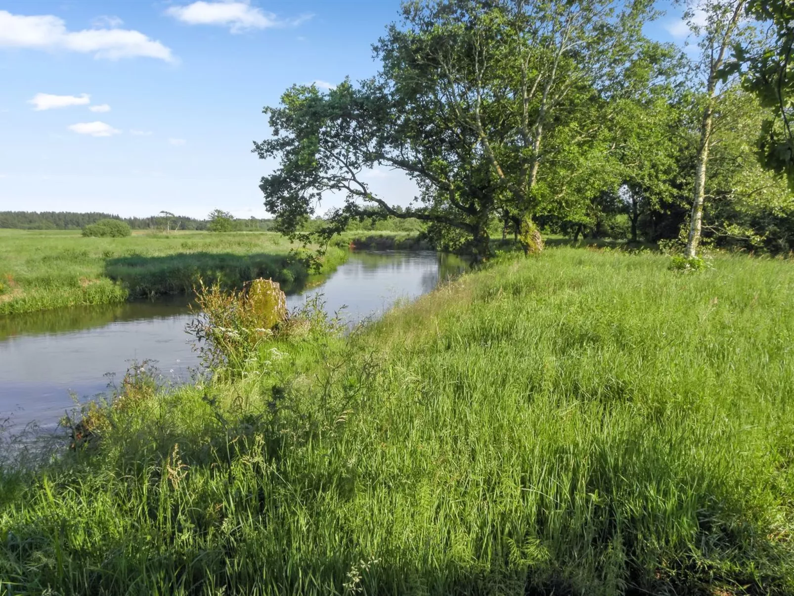 "Beatha" - 25km to the fjord