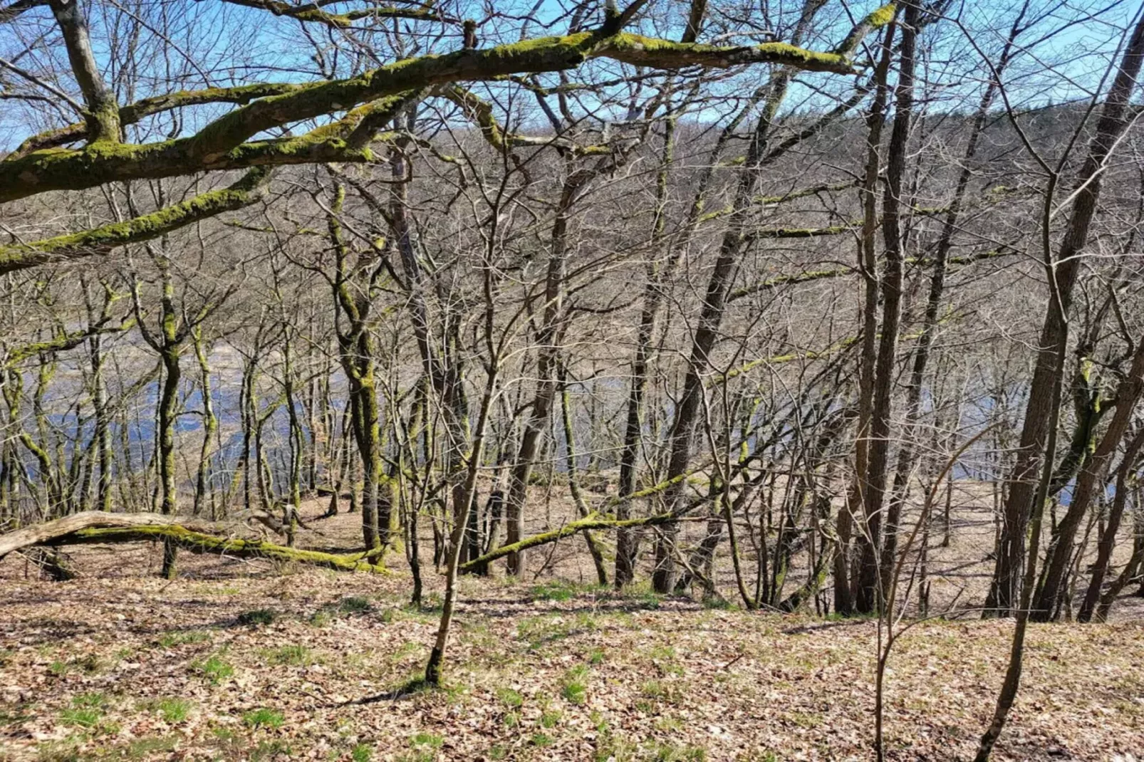 9 person holiday home in Ljungbyhed-By Traum-Untagged